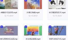 花了699在某宝买的《儿童美术启蒙》96课，完整版！