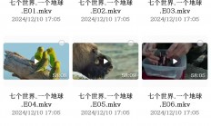 小红书花了49买到的35部少儿纪录片，非常适合给小孩看，增长见识，提升认知