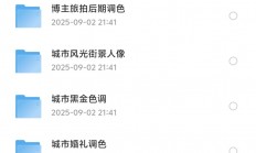 我花了499，在淘宝买的3.3G剪映调色预设模版合集