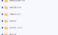 【不一样的天空】【罗密欧与朱丽叶】【泰坦尼克号】小李子(莱昂纳多·迪卡普里奥)【24部经典电影合集】【238GB】