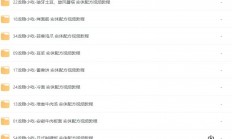 花了2000买来的《龙隐小吃街小吃教程大全》一共56.8GB