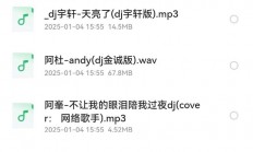 《老歌DJ》不怕新歌有多嗨 就怕老歌带DJ,234首车载DJ慢摇好听至极的经典音乐,值得收藏WAV+MP3+4.2GB]