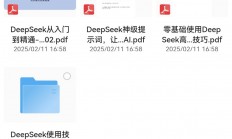 花了299，在同行那里买回来的deepseek教程（清华大学版本）