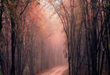 【粉丝福利】“温少创业记”公众号的部分自媒体干货，短视频等副业视频教学打包