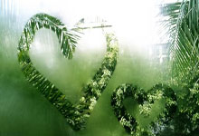 【稀缺资源】你们一直在找的豆包去水印下载插件