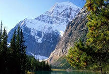 【稀缺资源】你们一直在找的豆包去水印下载插件