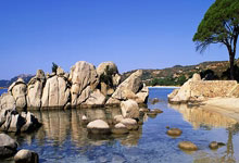 【粉丝福利】“温少创业记”公众号的部分自媒体干货，短视频等副业视频教学打包